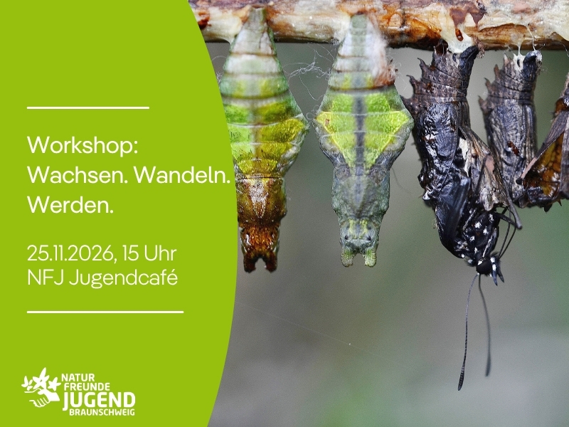 Workshop: Wachsen. Wandeln. Werden.